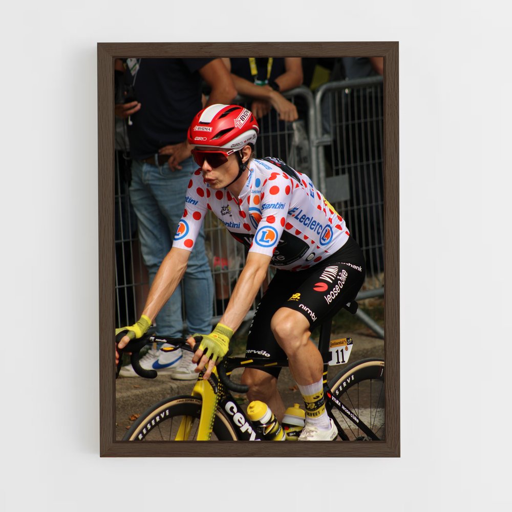 Poster Le Vainqueur des Cimes – affiche Cyclisme (vue 5)